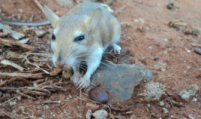 Ecology & Biodiversity
